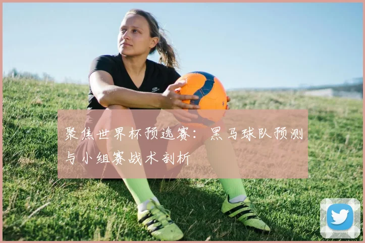 聚焦世界杯预选赛：黑马球队预测与小组赛战术剖析