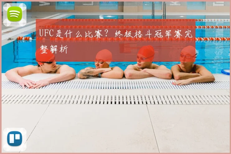 UFC是什么比赛？终极格斗冠军赛完整解析